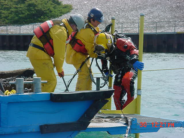 Diver Out