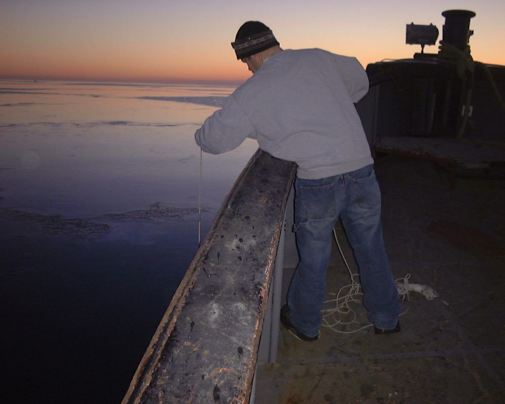 Morning Sampling