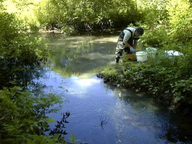 Biosampling Creek